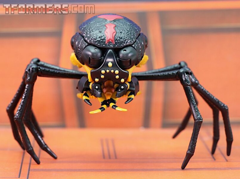 Transformers Kingdom Blackarachnia  (19 of 46)